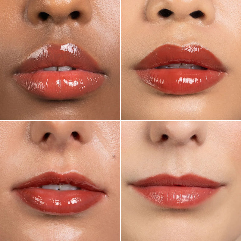 Sanzi Beauty LIP SHEEN - Chestnut