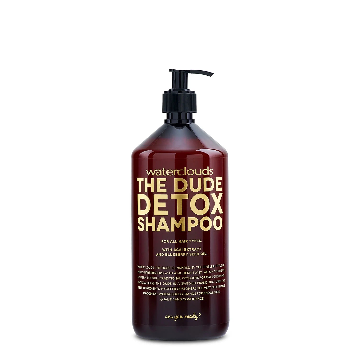 Waterclouds The Dude Detox Shampoo - 1000ml
