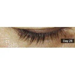 PUROBIO COSMETICS - GET BETTER TRANSPARENT MASCARA PRIMER